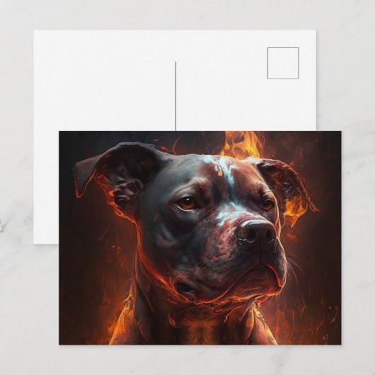 Postale Chien Divers Briefkaart (Voorkant / Achterkant)