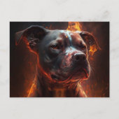 Postale Chien Divers Briefkaart (Voorkant)