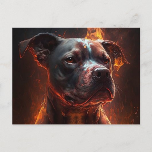 Postale Chien Divers Briefkaart (Voorkant)