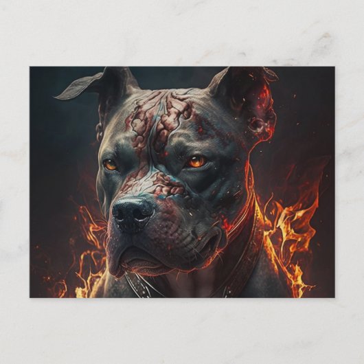 Postale Chien Divers Briefkaart (Voorkant)