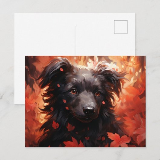 Postale Chien Flamboyant Briefkaart (Voorkant / Achterkant)