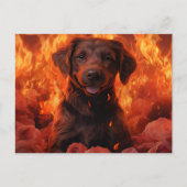 Postale Feu Fleuri Briefkaart (Voorkant)