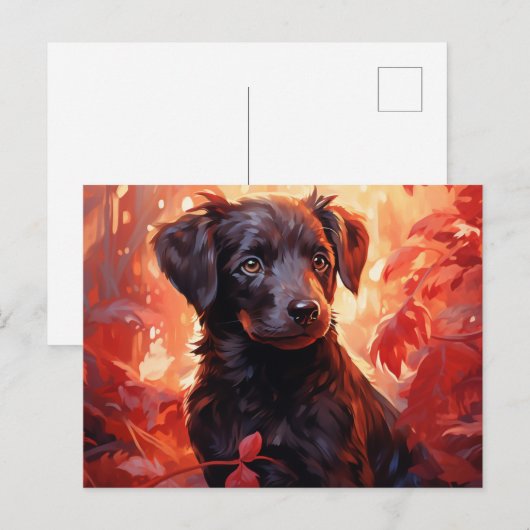 Postale Feu Fleuri Briefkaart (Voorkant / Achterkant)
