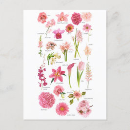 Postale Fleur Pink Briefkaart