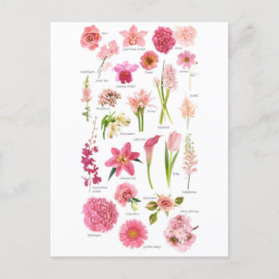 Postale Fleur Pink Briefkaart