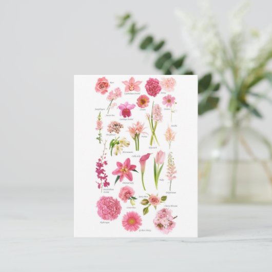 Postale Fleur Pink Briefkaart (Staand voorkant)