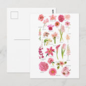 Postale Fleur Pink Briefkaart (Voorkant / Achterkant)