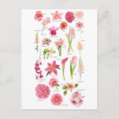 Postale Fleur Pink Briefkaart (Voorkant)