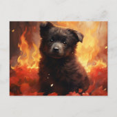 Postale Fleur Sauvage Feu-kaart Briefkaart (Voorkant)