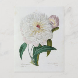 Postale Fleurs 10-kaart Briefkaart