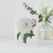 Postale Fleurs 10-kaart Briefkaart (Staand voorkant)