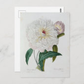 Postale Fleurs 10-kaart Briefkaart (Voorkant / Achterkant)