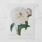 Postale Fleurs 10-kaart Briefkaart (Voorkant)