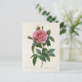 Postale Fleurs 11-kaart Briefkaart (Staand voorkant)