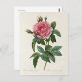 Postale Fleurs 11-kaart Briefkaart (Voorkant / Achterkant)