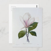 Postale Fleurs 12-kaart Briefkaart (Voorkant / Achterkant)