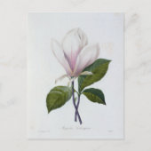 Postale Fleurs 12-kaart Briefkaart (Voorkant)