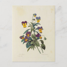 Postale Fleurs 13 Briefkaart
