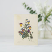 Postale Fleurs 13 Briefkaart (Staand voorkant)