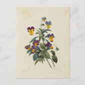 Postale Fleurs 13 Briefkaart (Voorkant)