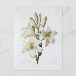 Postale Fleurs 14-kaart Briefkaart
