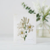 Postale Fleurs 14-kaart Briefkaart (Staand voorkant)