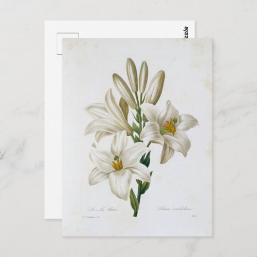 Postale Fleurs 14-kaart Briefkaart (Voorkant / Achterkant)