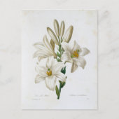 Postale Fleurs 14-kaart Briefkaart (Voorkant)