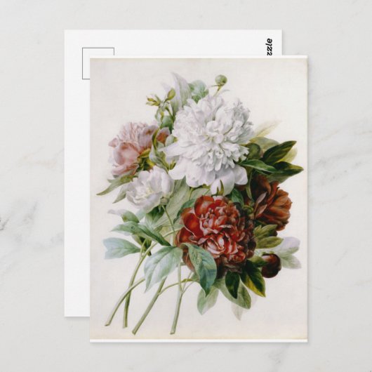 Postale Fleurs 15-kaart Briefkaart (Voorkant / Achterkant)