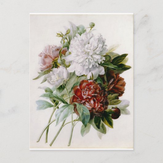 Postale Fleurs 15-kaart Briefkaart (Voorkant)