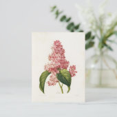 Postale Fleurs 16-kaart Briefkaart (Staand voorkant)