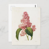 Postale Fleurs 16-kaart Briefkaart (Voorkant / Achterkant)