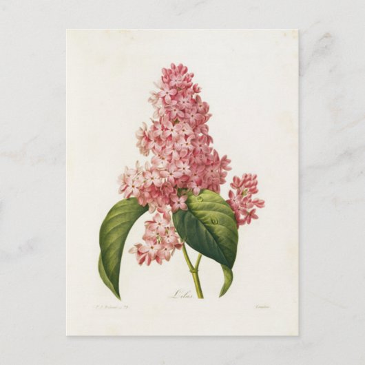 Postale Fleurs 16-kaart Briefkaart (Voorkant)