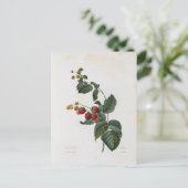 Postale Fleurs 17-kaart Briefkaart (Staand voorkant)