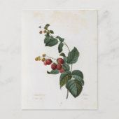 Postale Fleurs 17-kaart Briefkaart (Voorkant)