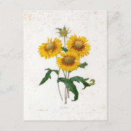 Postale Fleurs 7 Briefkaart