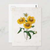 Postale Fleurs 7 Briefkaart (Voorkant / Achterkant)