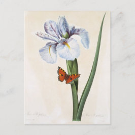 Postale Fleurs 8 Briefkaart