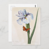 Postale Fleurs 8 Briefkaart (Voorkant / Achterkant)