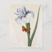 Postale Fleurs 8 Briefkaart (Voorkant)