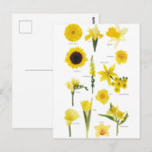 Postale Gele bloem Briefkaart (Voorkant / Achterkant)