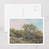 Postale kaart (Voorkant / Achterkant)