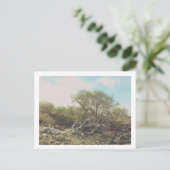 Postale kaart (Staand voorkant)