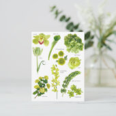 Postale kaart Groene bloemen (Staand voorkant)