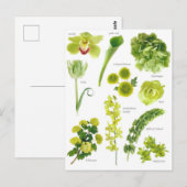 Postale kaart Groene bloemen (Voorkant / Achterkant)