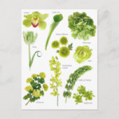 Postale kaart Groene bloemen (Voorkant)