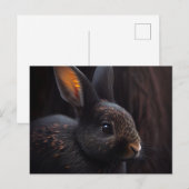 Postale Lapin-kaarten Briefkaart (Voorkant / Achterkant)