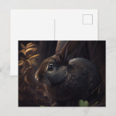 Postale Lapin-kaarten Briefkaart (Voorkant / Achterkant)