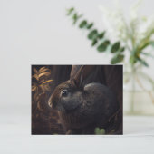 Postale Lapin-kaarten Briefkaart (Staand voorkant)