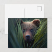 Postales bear herbe briefkaart (Voorkant / Achterkant)